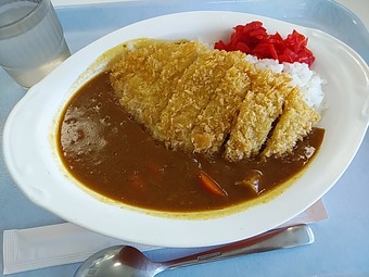 名物カツカレー 江東免許試験場 江東免許センター 江東食堂
