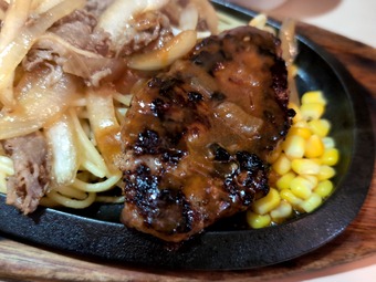 お茶の水 キッチンカロリー ハンバーグカロリー焼き