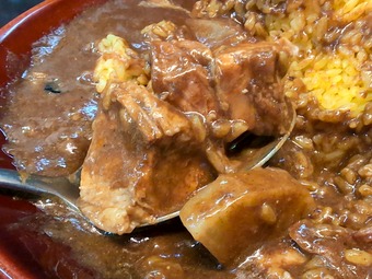 ���������졼 ���ӻ�����600g���졼�ϰ���ʪ �˥塼�����ӥ�