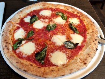 �ԥ��ޥ륲�꡼�� ���� ��²��Υե����������ꥢ��