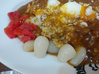 汐留 日乃屋カレー ひのやカレー 福神漬 ラッキョウ