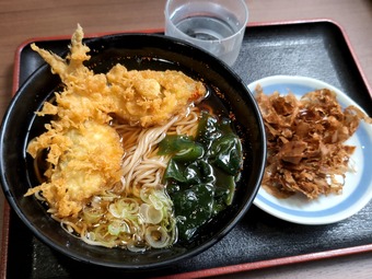 ����ŷ���� ��ŷ ����Į ƽ���� ƽ���� ϩ�� Ω����������