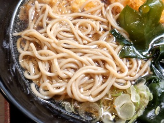 ����ŷ���� ��ŷ ����Į ƽ���� ƽ���� ϩ�� Ω����������