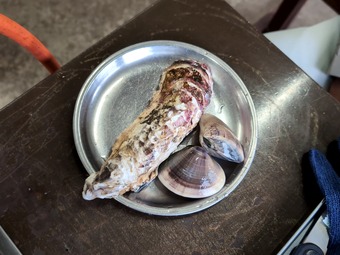 ���Ƥ� ���� ���� �ϥޥ��� �����縶 ��Ϸ�� ���Ӥ�