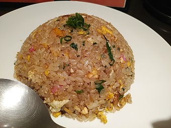 �������� �˥塼�����ӥ� ���㡼�ϥ� ���Ӳ� ���㡼�ϥ� ����