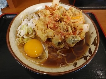 ŷ�̤��� ���� ������ ��ëĮ Ω���������� ���Ф褷��ëĮŹ