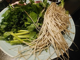 ���Ļ��ؤΥ����� ���������ӥ� ���� ����