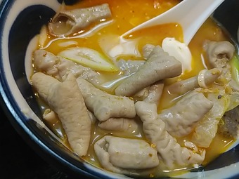 �������� Ļ�ڼ�� �Ȥ�餯 Ļ�� ��ļ��꿩 500�� ��󥳥���