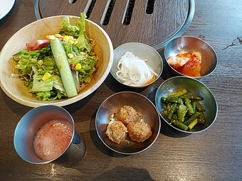 新橋ハヌリランチ 新橋韓国料理 半サムゲタン定食 食べ放題ランチ