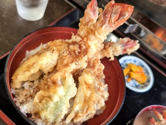 ������ϷŷЧ �����縶 ��Ϸ�� ���Ӥ�