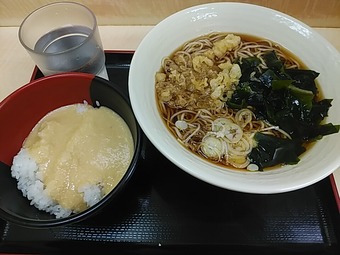 とろろ丼セット 築地ランチ 築地立ち食いそば 天花そば てんはなそば