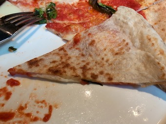 �ԥ��ޥ륲�꡼�� ���� ��²��Υե����������ꥢ��