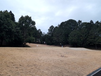 ������ �����ե���ȥ꡼����� ������� �������ǥ��������