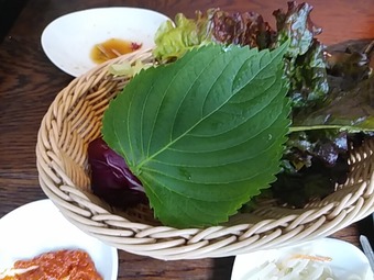  ���� KollaBo ����� ���� ���८��ץ����꿩 ������� ������