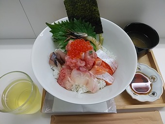 新橋ランチ 海鮮丼乙 海鮮丼梅 新橋おつ