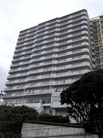 ���� �ۥƥ� ���� �����ҥ�ȥå� ����ɥߥ˥���