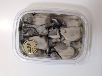 �̳�ƻ�����޸л� ������ ������ 2026ǯǯ��ǯ�� ����