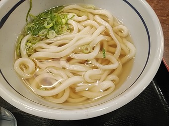 新橋 おにやんま 新橋讃岐うどん 路麺 かけうどん