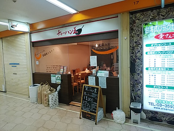 �������� �˥塼�����ӥ�£� ���㡼�ϥ� ���Ӳ� ����