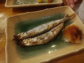 ������¢������Ź ϧü ������¢ �������