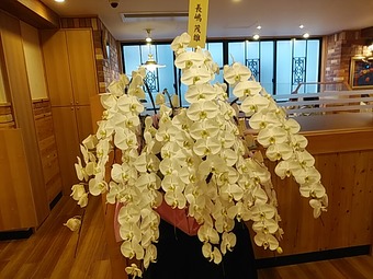 Ĺ����ͺ ��ĳ�� �������� ���������Ź ����Ź ����������ҡ�