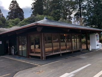 ������ �㲰 �����ե���ȥ꡼����� ������� �������ǥ��������