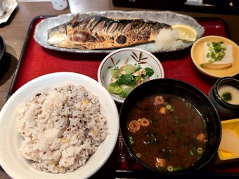 ���ľ�Ź��Τ��������Ƥ��꿩 �˥塼�����ӥ� ��������ɤ�