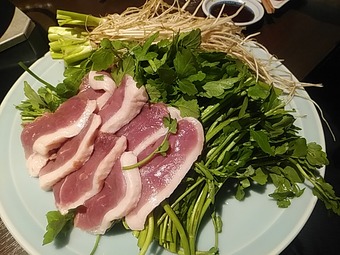 ���Ļ��ؤΥ����� ���������ӥ� ���� ����