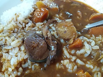 �̳�ƻľ�Υ����ܡ��� �����ץ��졼 ���� ������ �ۥ���