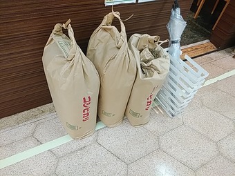 �������� �˥塼�����ӥ�£� ���㡼�ϥ� ���Ӳ� Ź��