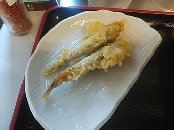 �������� ����������ڤ��� �٤��� ���䶾�� ��ҥ���ŷ�פ�