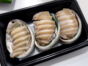 ����ӻɿ� 2026ǯ��ǯ�� ����