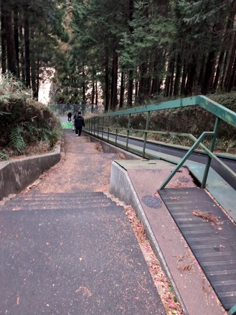 ������ �����ե���ȥ꡼����� ������� �������ǥ��������