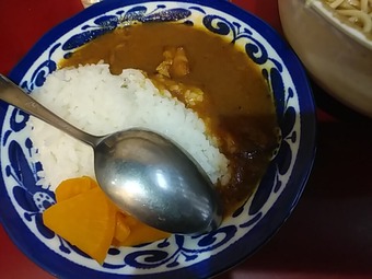 新橋 立ちそば 丹波屋 たんばや カレー