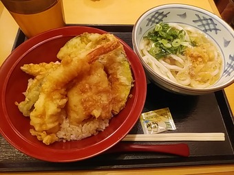 �������� �ץ������ ���ͤ��ɤ� ���󥷥硼 ��ʢЧ���å�ŷЧ