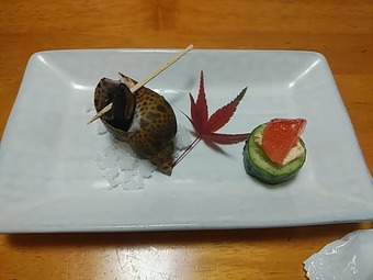 ���Į ����sun �������ʤ��� ʿ�¾�ϩ ������ ���̤� �������