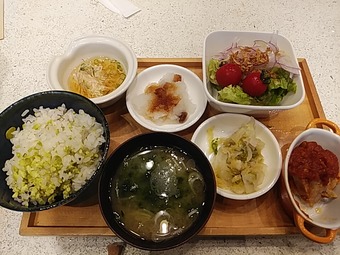 銀座ランチ 銀座朝食ラボ ランチビュッフェ ホテルミュッセ ずんだ飯