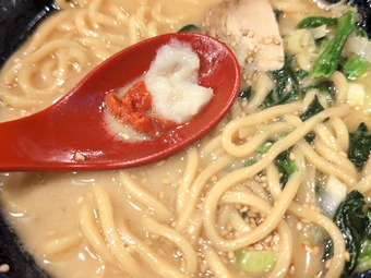 ��� �˥�˥� Ʀ�ľ� ���������ӥ� ������Ź �ȷϥ顼���