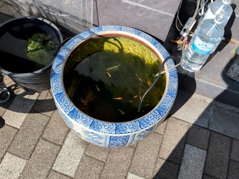 ŹƬ ����� ���� ��Τ�� ����Ϥ� ���� ��Τ�ͥ��å�