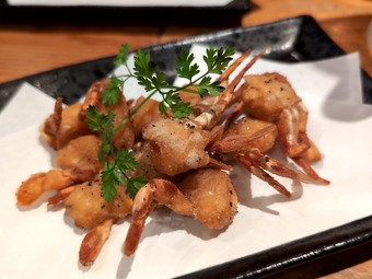 ɱ�勵�ꥬ�ˤ����Ȥ� ��¤���Τ� ���ܼ�24�����������