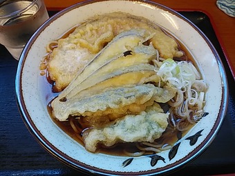 ���ŷ���� ���� ������ ��ëĮ Ω���������� ���Ф褷��ëĮŹ