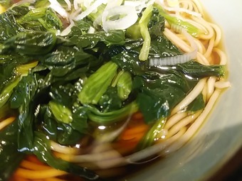 浅草駅地下 立ち食いそば 文殊 もんじゅ ほうれん草そば