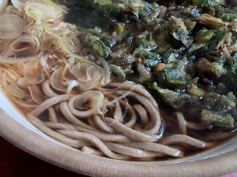 �յ�ŷ���� �˥塼�����ӥ� ð�Ȳ� ����Ф�  Ω����������̾Ź