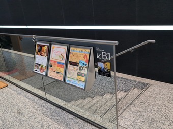 ŹƬ �Ҥʤ��ܤä� ��󥳥��� 500�� ����ë�����ӥ� ����