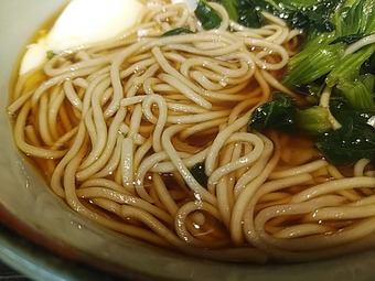 浅草駅地下 立ち食いそば 文殊 もんじゅ ほうれん草そば