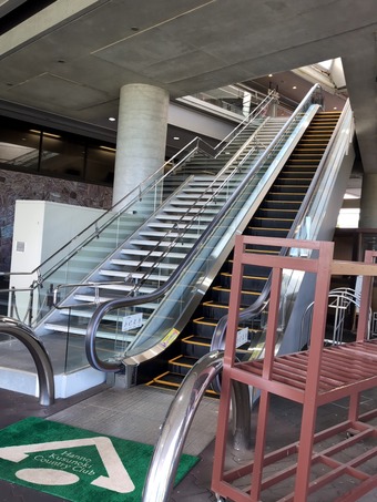 ����֥ϥ��� �᥿�ܥꥺ��������� ��ǽ�����μ�����ȥ꡼ PGM