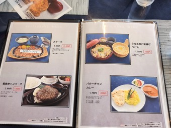 ���� �쥹�ȥ���˥塼 ��ǽ�����μ�����ȥ꡼����� PGM