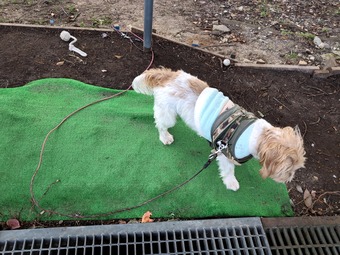 ������ ������ Ϸ��  ��ư�� ���հ�εܥ���ȥ꡼�����