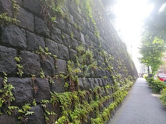 �г� ��ëĮ �ץ��� ������ ���Ф褷��ëĮŹ