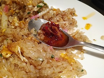 �������� �˥塼�����ӥ� ���㡼�ϥ� ���Ӳ� �����顼�� �ݾ���